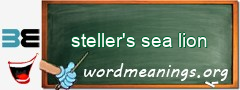 WordMeaning blackboard for steller's sea lion